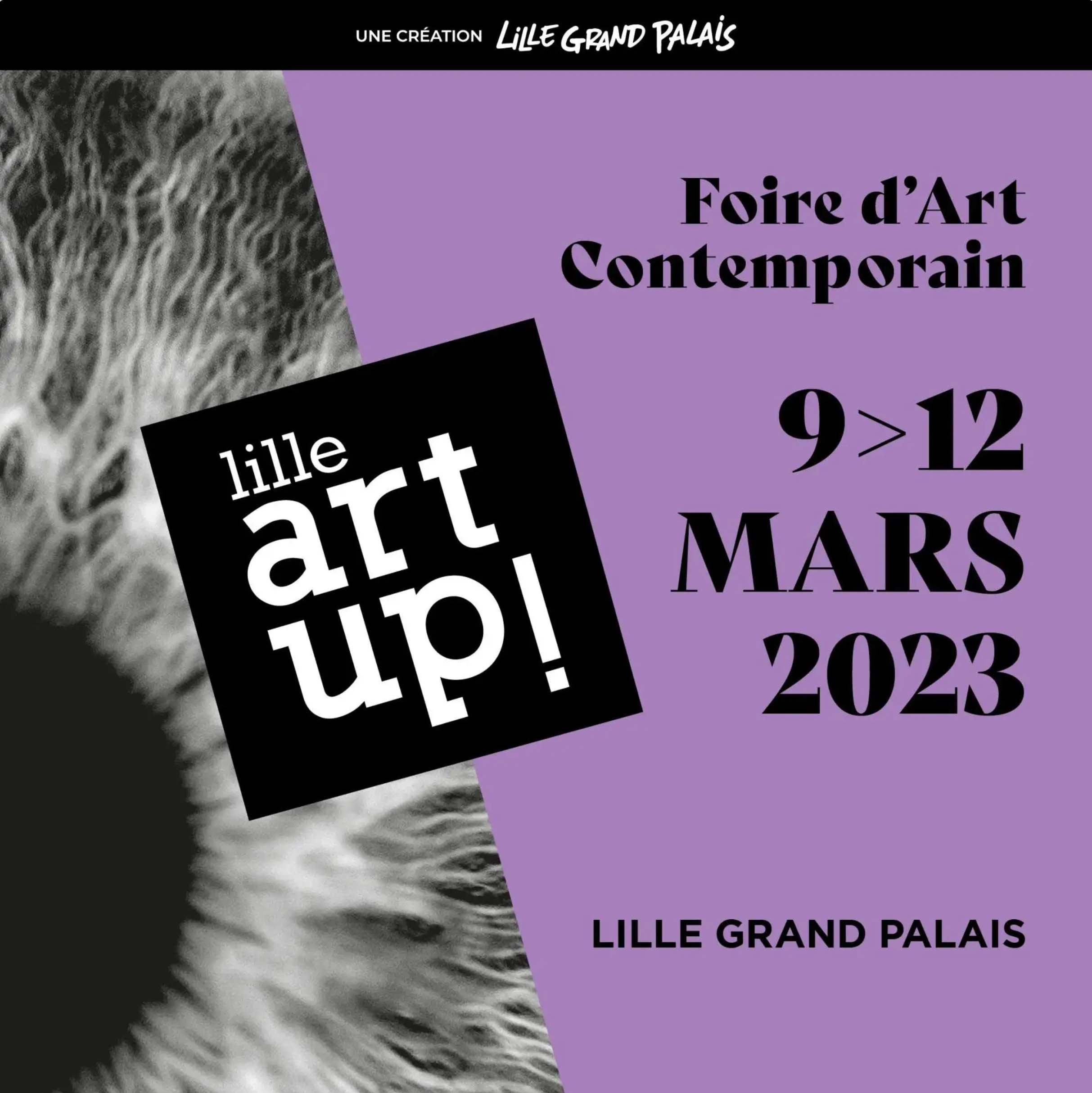 Actualité - Lille Art Up 2023