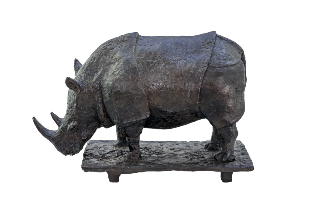 Rhinoceros 10 - Patrick Lang